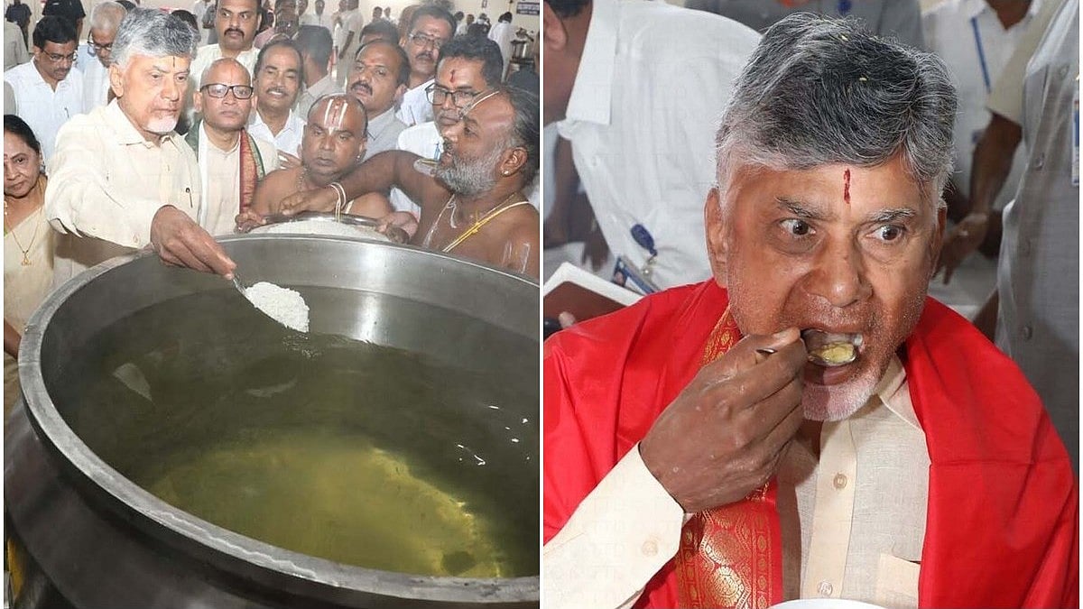 ತಿರುಪತಿ ಲಡ್ಡು ಪ್ರಸಾದದ ಗುಣಮಟ್ಟ ಸುಧಾರಿಸಿದೆ ಎಂದು ಭಕ್ತರು ಹೇಳುತ್ತಿದ್ದಾರೆ: ಬ್ರಹ್ಮೋತ್ಸವಕ್ಕೆ ಆಗಮಿಸಿದ ಸಿಎಂ ಚಂದ್ರಬಾಬು ನಾಯ್ಡು