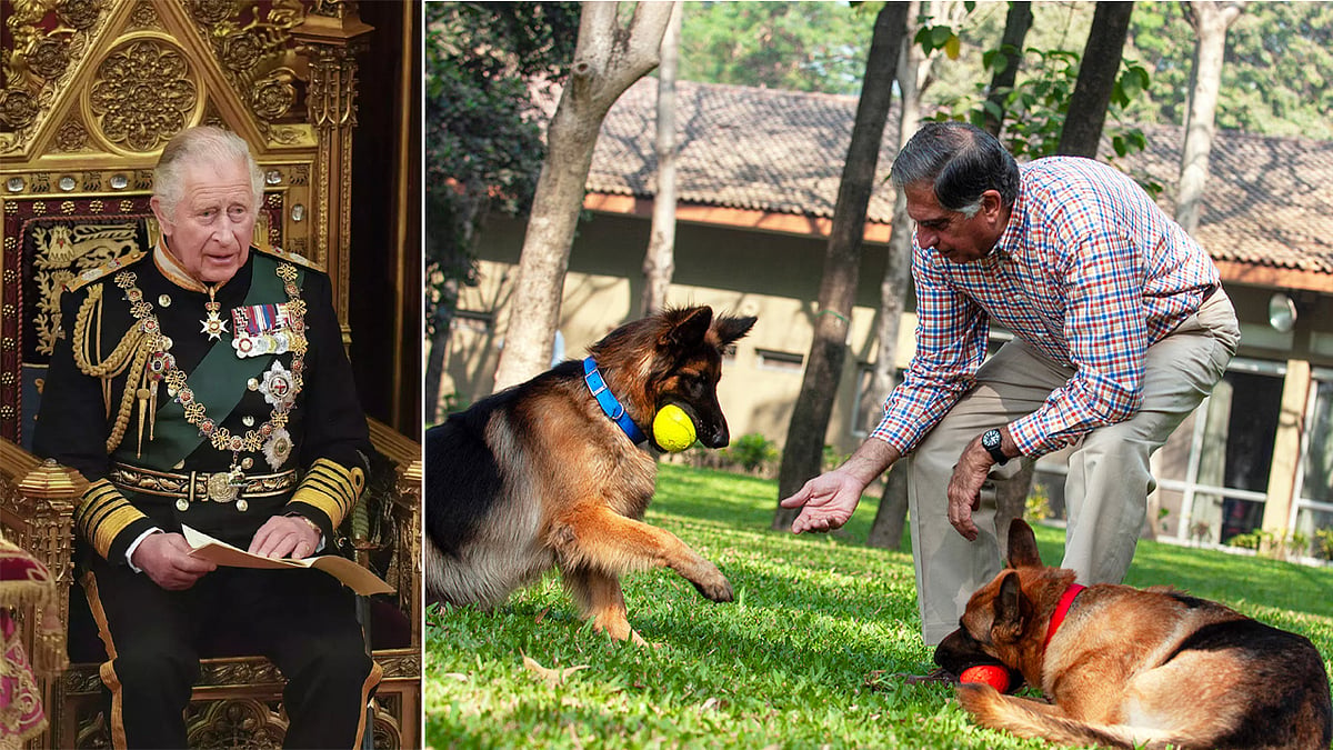 'ನಾಯಿಗೆ ಹುಷಾರಿಲ್ಲ.. ನಾನ್ ಬರಲ್ಲ': King Charles ಸನ್ಮಾನ ಸಮಾರಂಭಕ್ಕೆ ಗೈರಾಗಿದ್ದ Ratan Tata!