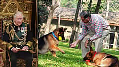 'ನಾಯಿಗೆ ಹುಷಾರಿಲ್ಲ.. ನಾನ್ ಬರಲ್ಲ': King Charles ಸನ್ಮಾನ ಸಮಾರಂಭಕ್ಕೆ ಗೈರಾಗಿದ್ದ Ratan Tata!