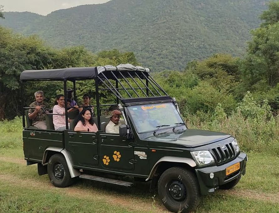 ಮಲೆ ಮಹದೇಶ್ವರಬೆಟ್ಟದಲ್ಲಿ ಸಫಾರಿ: ಭಾರೀ ಸಂಖ್ಯೆಯಲ್ಲಿ ಪ್ರವಾಸಿಗರ ಆಕರ್ಷಣೆ