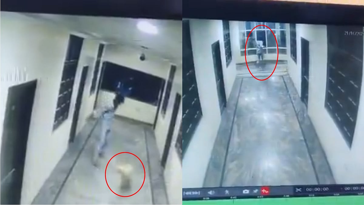 ದುರಂತ: ಹೊಟೆಲ್ ಗೆ ನುಗ್ಗಿದ ನಾಯಿ ಓಡಿಸಲು ಹೋಗಿ 3ನೇ ಅಂತಸ್ತಿನಿಂದ ಬಿದ್ದು ವ್ಯಕ್ತಿ ಸಾವು, Video Viral