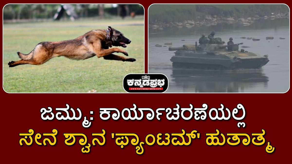 ಜಮ್ಮು: ಕಾರ್ಯಾಚರಣೆಯಲ್ಲಿ ಸೇನೆ ಶ್ವಾನ 'ಫ್ಯಾಂಟಮ್' ಹುತಾತ್ಮ