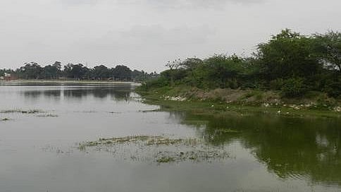 ನವೆಂಬರ್ ಅಂತ್ಯಕ್ಕೆ 25 ಕೆರೆಗಳು ಸ್ವಚ್ಛ: BBMP