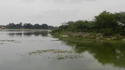 ನವೆಂಬರ್ ಅಂತ್ಯಕ್ಕೆ 25 ಕೆರೆಗಳು ಸ್ವಚ್ಛ: BBMP