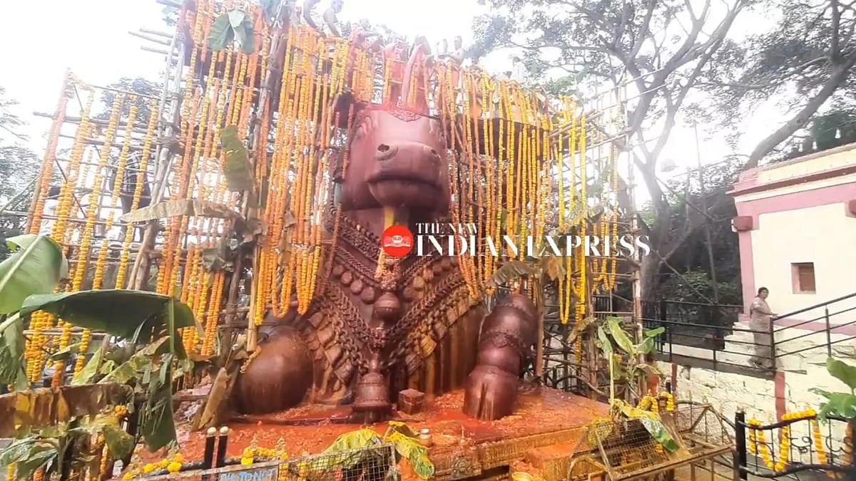 ಚಾಮುಂಡಿ ಬೆಟ್ಟ ನಂದಿ ವಿಗ್ರಹಕ್ಕೆ ಮಹಾಮಸ್ತಕಾಭಿಷೇಕ