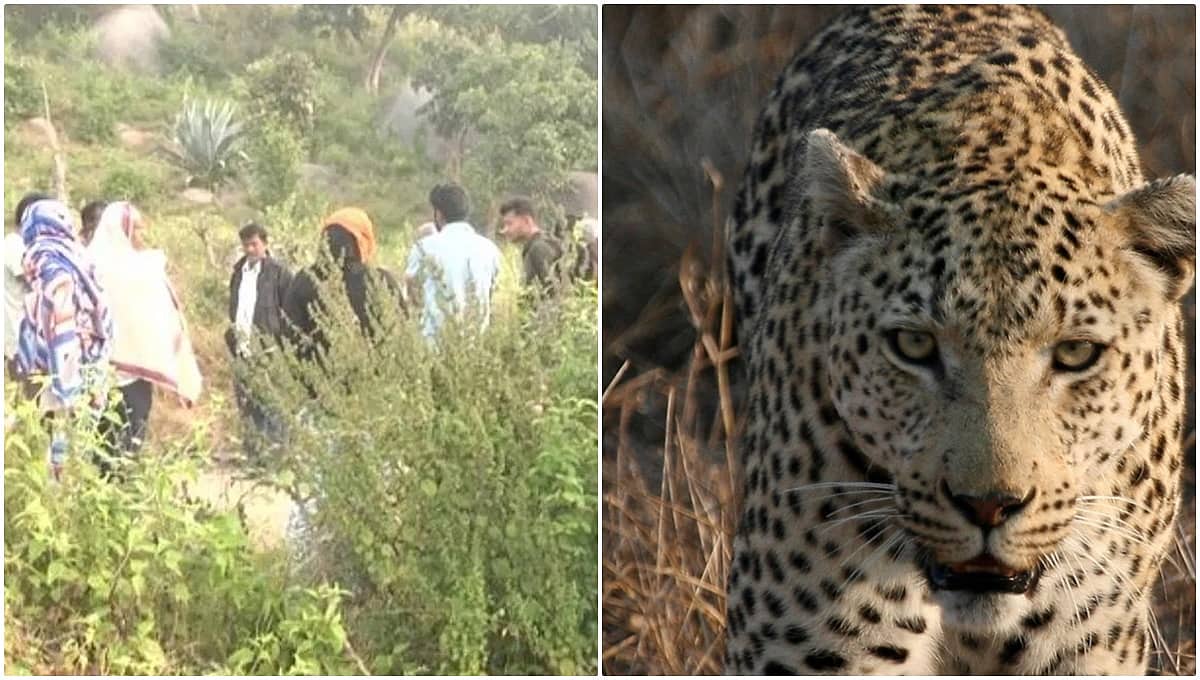 ಆಘಾತಕಾರಿ ಘಟನೆ: ತಾನು ಕೊಂದಿದ್ದ ಮಹಿಳೆಯ ದೇಹವನ್ನು ಅಂತ್ಯಸಂಸ್ಕಾರ ವೇಳೆ ಹೊತ್ತೊಯ್ಯಲು ಯತ್ನಿಸಿದ ಚಿರತೆ!