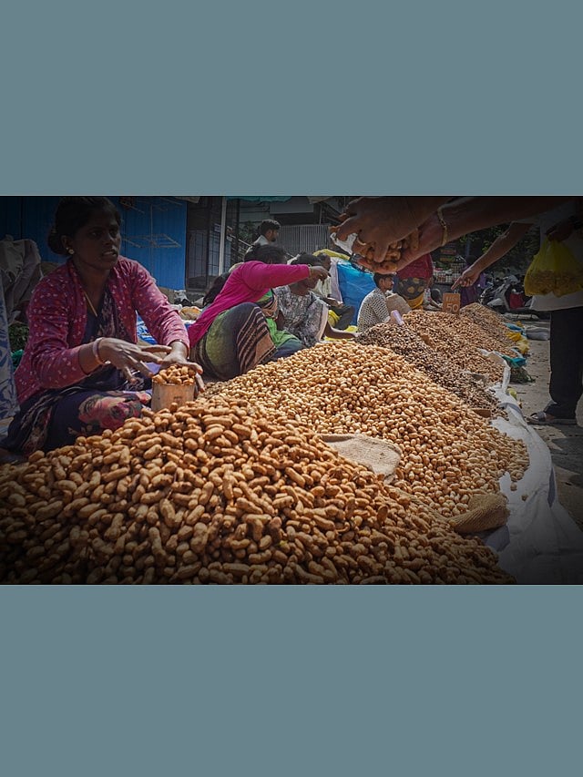 Kadalekai Parishe: ಬಸವನಗುಡಿ ಕಡಲೆಕಾಯಿ ಪರಿಷೆ; ಹಿನ್ನೆಲೆ ಏನು?