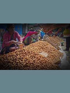 Kadalekai Parishe: ಬಸವನಗುಡಿ ಕಡಲೆಕಾಯಿ ಪರಿಷೆ; ಹಿನ್ನೆಲೆ ಏನು?