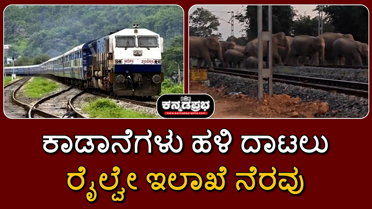 Watch | ಕಾಡಾನೆಗಳು ಹಳಿ ದಾಟಲು ರೈಲ್ವೇ ಇಲಾಖೆ ನೆರವು; ಸಿಬ್ಬಂದಿ ಕಾರ್ಯವೈಖರಿಗೆ ಶ್ಲಾಘನೆ