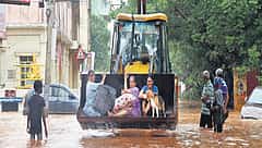 ಫೆಂಗಲ್ ಚಂಡಮಾರುತದ ಅಬ್ಬರ: ಪುದುಚೇರಿ, ವಿಲ್ಲುಪುರಂನಲ್ಲಿ ಭಾರಿ ಮಳೆ, ಒಂಬತ್ತು ಮಂದಿ ಸಾವು