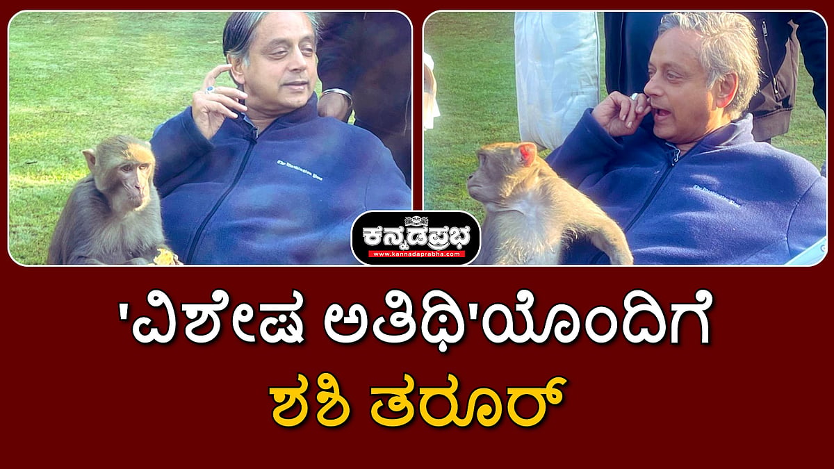 'ವಿಶೇಷ ಅತಿಥಿ'ಯೊಂದಿಗೆ ಶಶಿ ತರೂರ್; ನೆಟ್ಟಿಗರು ಫಿದಾ! | Watch
