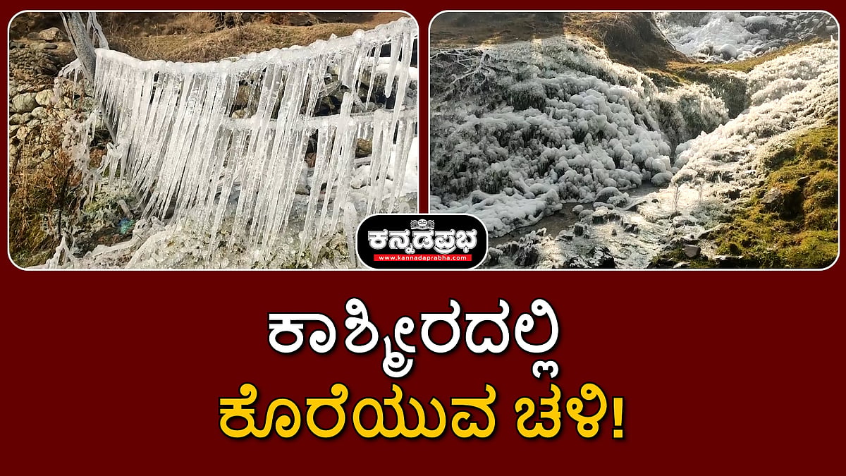 Watch | ಕಾಶ್ಮೀರದಲ್ಲಿ ಕೊರೆಯುವ ಚಳಿ; ನೀರಿನ ಹನಿಗಳು ಮಂಜುಗಡ್ಡೆಯಾಗಿರುವ ನೋಟ!