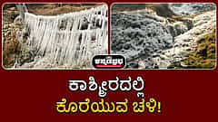 Watch | ಕಾಶ್ಮೀರದಲ್ಲಿ ಕೊರೆಯುವ ಚಳಿ; ನೀರಿನ ಹನಿಗಳು ಮಂಜುಗಡ್ಡೆಯಾಗಿರುವ ನೋಟ!