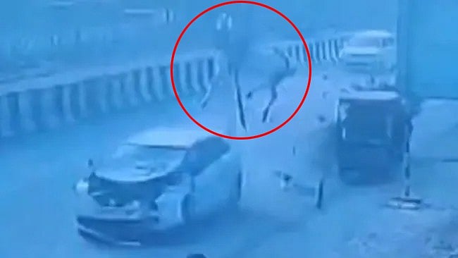 UP Highway Accident: ಟಾಂಗಾಗೆ ಗುದ್ದಿದ ಕಾರು, ಸ್ಥಳದಲ್ಲೇ ಕುದುರೆ ಸಾವು, Video ವೈರಲ್