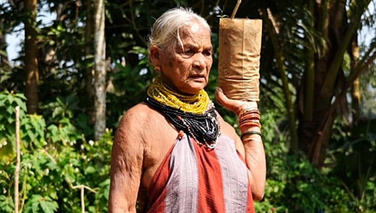 ಉತ್ತರ ಕನ್ನಡ: ವೃಕ್ಷಮಾತೆ, ಪದ್ಮಶ್ರೀ ಪುರಸ್ಕೃತೆ ತುಳಸಿ ಗೌಡ ನಿಧನ