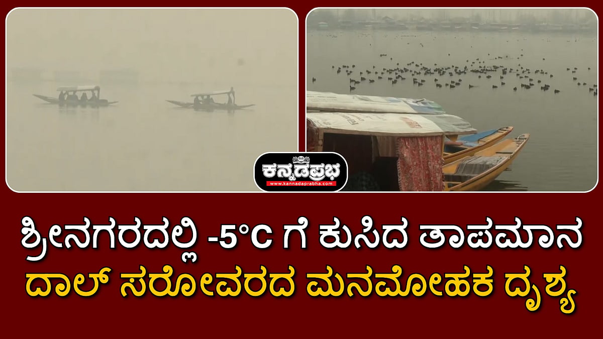 ಶ್ರೀನಗರದಲ್ಲಿ -5°C ಗೆ ಕುಸಿದ ತಾಪಮಾನ; ದಾಲ್ ಸರೋವರದ ಮನಮೋಹಕ ದೃಶ್ಯ
