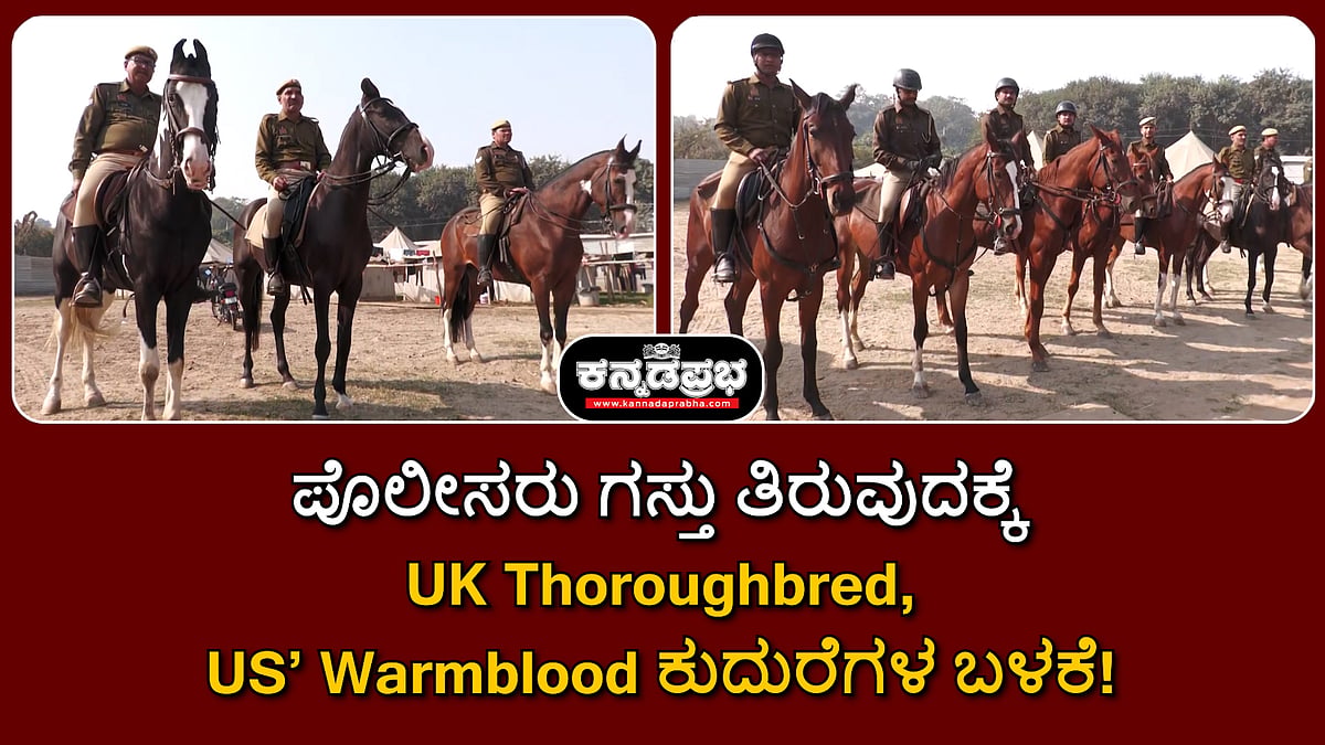 ಕುಂಭಮೇಳಕ್ಕೆ ಬ್ರಿಟನ್ ನ ಥೊರೊಬ್ರೆಡ್, ಅಮೇರಿಕಾದ ವಾರ್ಮ್ ಬ್ಲಡ್ ತಳಿಯ ಕುದುರೆಗಳು!