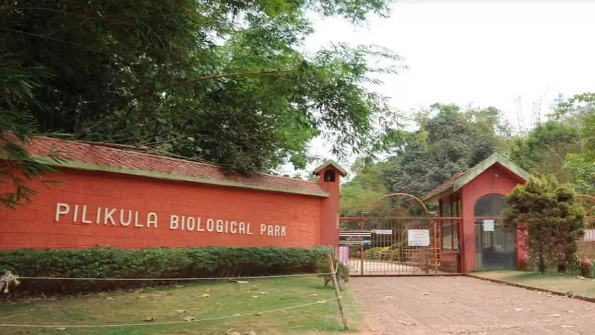 ಮಂಗಳೂರು ಮೃಗಾಲಯಕ್ಕೆ ಹೊಸ ಅತಿಥಿಗಳ ಆಗಮನ!
