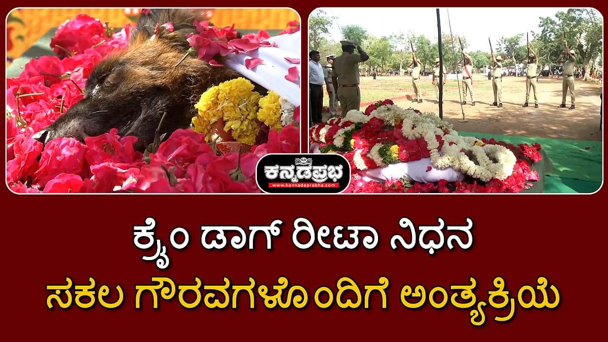 Watch | ಕಲಬುರಗಿ: ಕ್ರೈಂ ಡಾಗ್ ರೀಟಾ ನಿಧನ; ಸಕಲ ಗೌರವಗಳೊಂದಿಗೆ ಅಂತ್ಯಕ್ರಿಯೆ