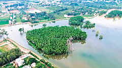 BBMP: ದೊಡ್ಡಗುಬ್ಬಿ ಕೆರೆ ಪುನಶ್ಚೇತನ ಯೋಜನೆ; ಸುತ್ತಮುತ್ತಲ ಕೊಳವೆಬಾವಿಗಳಿಗೆ ನೀರು