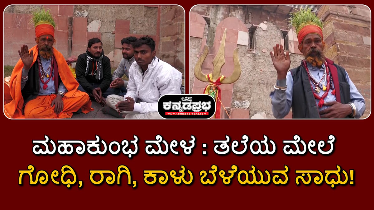 Watch | ಮಹಾಕುಂಭ ಮೇಳ: ತಲೆಯ ಮೇಲೆ ಗೋಧಿ, ರಾಗಿ, ಕಾಳು ಬೆಳೆಯುವ ಸಾಧು
