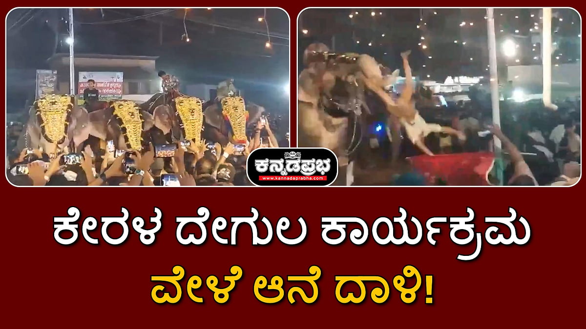 Watch | ಕೇರಳ ದೇಗುಲದಲ್ಲಿ ಆನೆಗಳ ದಾಳಿ; ಸೊಂಡಿಲಿನಿಂದ ವ್ಯಕ್ತಿ ಬಿಸಾಡಿ ಆಕ್ರೋಶ