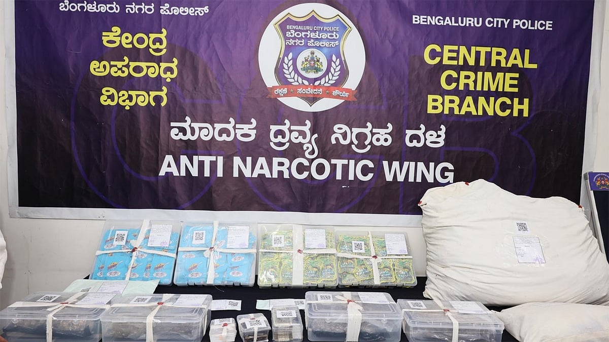 ಗಾಂಜಾ ಪ್ರಮಾಣ ಇಳಿಕೆ: ಆಧುನಿಕ ಮಾದಕ ವಸ್ತುಗಳ ಮೊರೆ ಹೋಗುತ್ತಿರುವ ನಶೆ ಪ್ರಿಯರು!