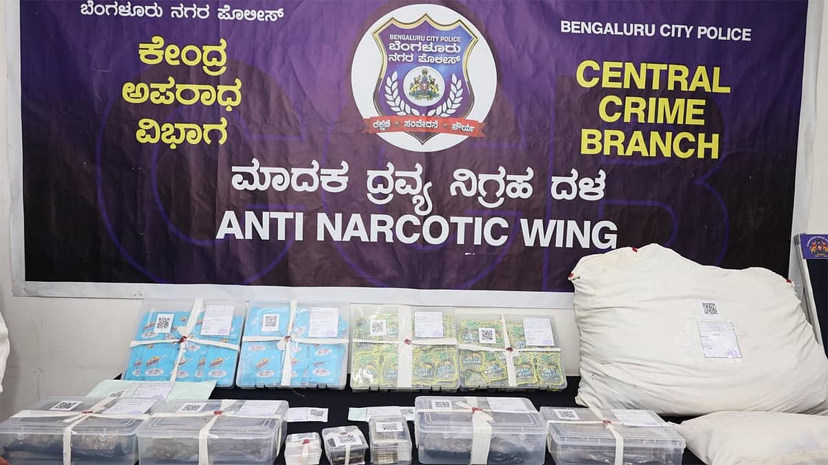 ಗಾಂಜಾ ಪ್ರಮಾಣ ಇಳಿಕೆ: ಆಧುನಿಕ ಮಾದಕ ವಸ್ತುಗಳ ಮೊರೆ ಹೋಗುತ್ತಿರುವ ನಶೆ ಪ್ರಿಯರು!