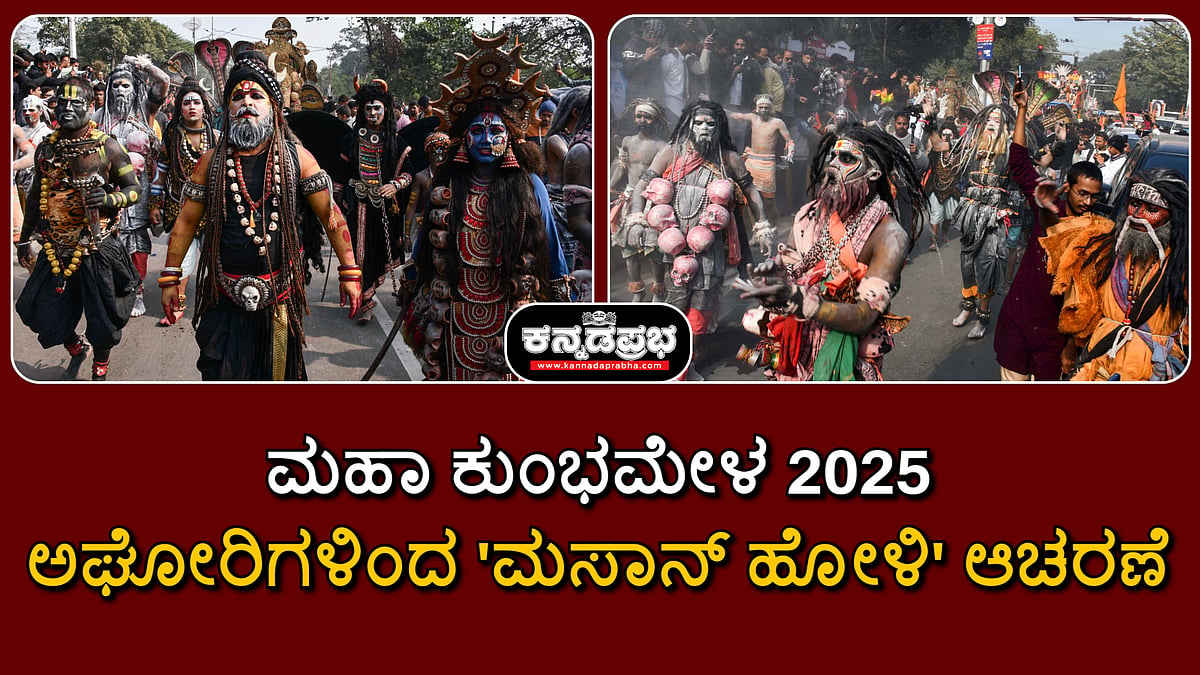 Watch | ಮಹಾ ಕುಂಭಮೇಳ 2025: ಅಘೋರಿಗಳಿಂದ 'ಮಸಾನ್ ಹೋಳಿ' ಆಚರಣೆ