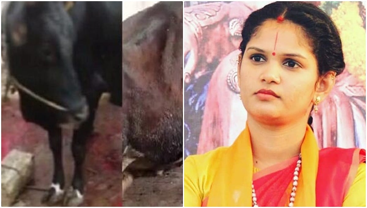 ಪ್ರಾಣಿದಯಾ ಸಂಘ ಈಗ ಎಲ್ಲಿದೆ? ನಾಯಿ, ಬೆಕ್ಕಿನ ಜೀವಕ್ಕೆ ಕೊಡೋ ಬೆಲೆ ಗೋಮಾತೆಗಿಲ್ವಾ?: BiggBoss ಖ್ಯಾತಿಯ ಚೈತ್ರಾ ಕುಂದಾಪುರ ಆಕ್ರೋಶ!