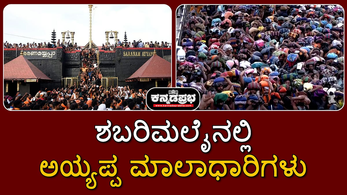 Watch | ಮಕರ ಜ್ಯೋತಿ ದರ್ಶನ: ಶಬರಿಮಲೈನಲ್ಲಿ ಭಕ್ತಸಾಗರ