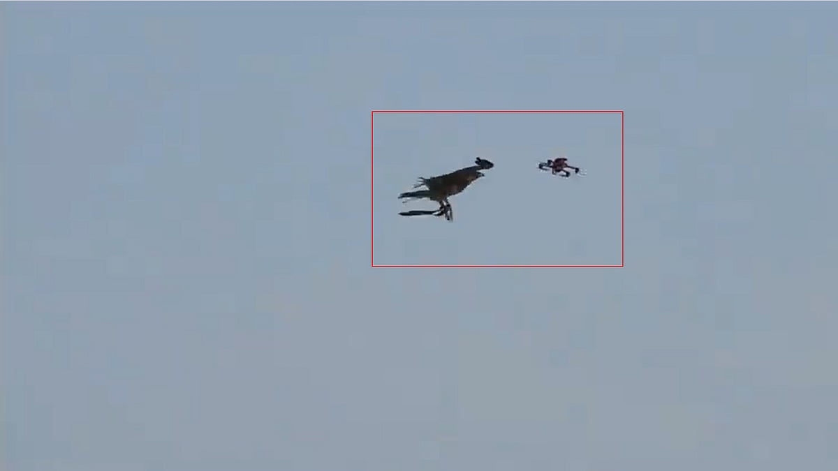 Video: 'ರಾಕ್ಷಸೀ' ಡ್ರೋನ್ ಗಳ ಹತ್ತಿಕ್ಕಲು Eagle Squad ಸೇರ್ಪಡೆ; ಪ್ರಪಂಚದ 2ನೇ ಪೊಲೀಸ್ ಇಲಾಖೆ!