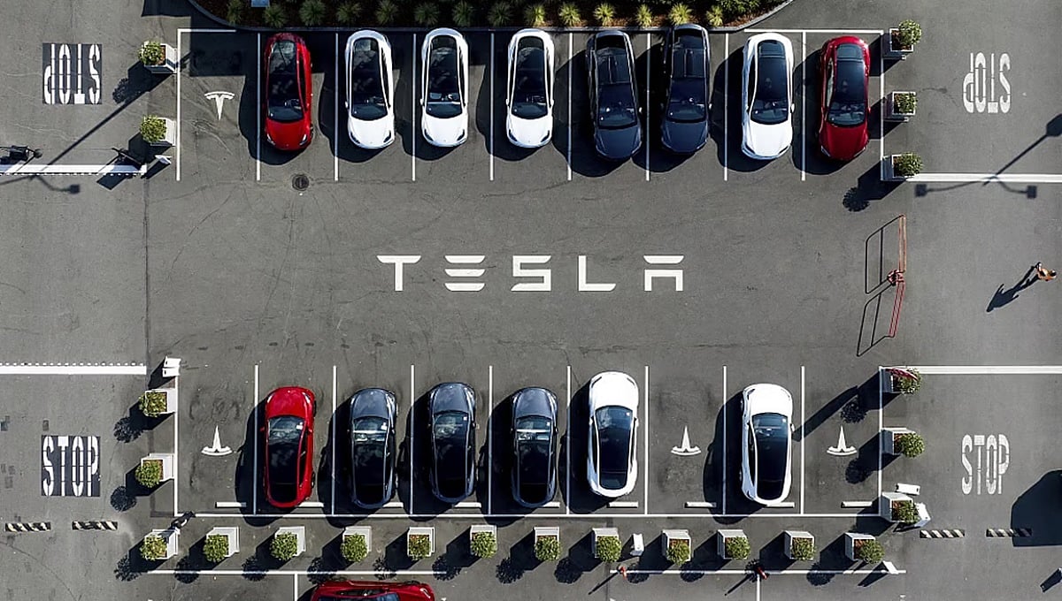 Tesla: ಭಾರತದಲ್ಲಿ ನೇಮಕಾತಿ ಆರಂಭ; ಇವಿ ಕಾರು ಮಾರುಕಟ್ಟೆಗೆ ಎಂಟ್ರಿ!