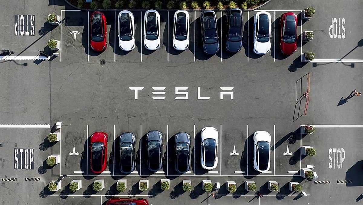 Tesla: ಭಾರತದಲ್ಲಿ ನೇಮಕಾತಿ ಆರಂಭ; ಇವಿ ಕಾರು ಮಾರುಕಟ್ಟೆಗೆ ಎಂಟ್ರಿ!