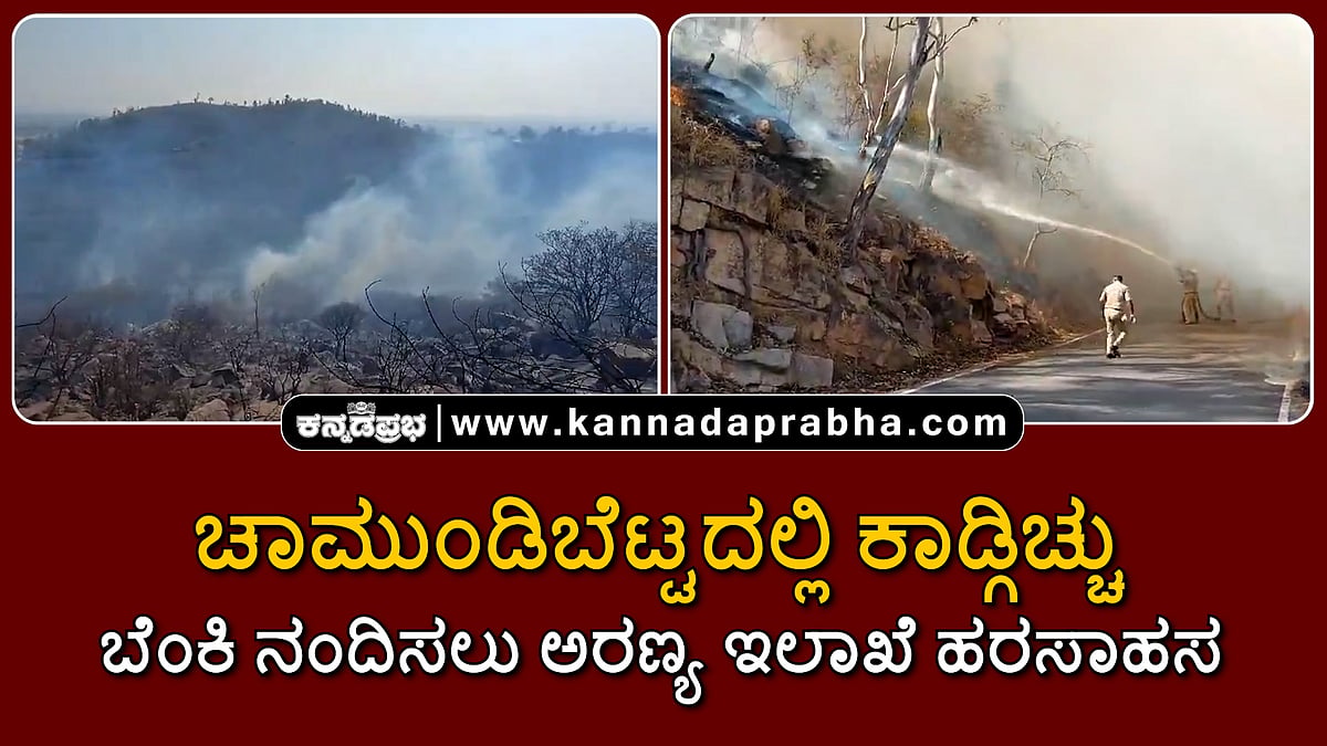 Watch | ಮೈಸೂರಿನ ಚಾಮುಂಡಿಬೆಟ್ಟದಲ್ಲಿ ಕಾಡ್ಗಿಚ್ಚು; ಬೆಂಕಿ ನಂದಿಸಲು ಹರಸಾಹಸ