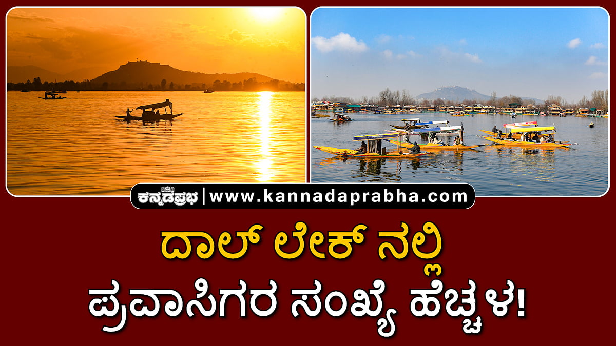 ಹಿಮಮಳೆ, ತೀವ್ರ ಚಳಿ: ದಾಲ್ ಲೇಕ್ ನಲ್ಲಿ  ಪ್ರವಾಸಿಗರ ಸಂಖ್ಯೆ ಹೆಚ್ಚಳ