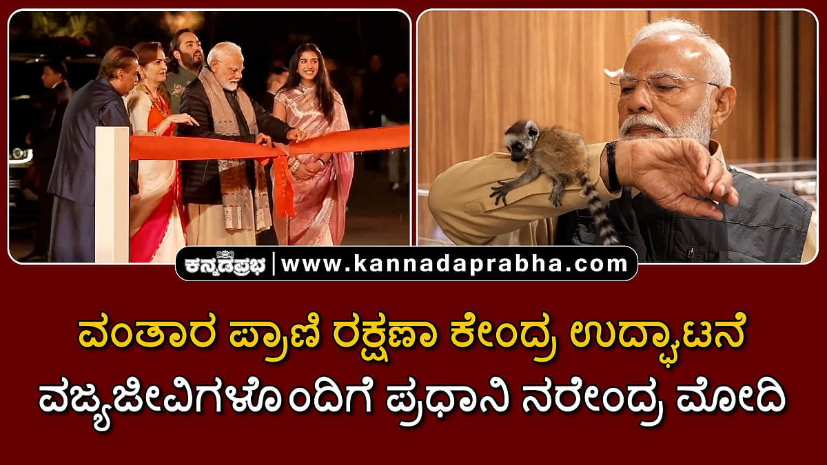 Watch | ವಂತಾರ ಪ್ರಾಣಿ ರಕ್ಷಣಾ ಕೇಂದ್ರ ಉದ್ಘಾಟನೆ;  ವಜ್ಯಜೀವಿಗಳೊಂದಿಗೆ PM Modi