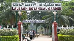 ಸಸ್ಯಕಾಶಿ ಲಾಲ್ ಬಾಗ್ ನಲ್ಲಿ ಹೋಳಿ ಆಚರಣೆ ವೇಳೆ ಘರ್ಷಣೆ: ಎರಡು ಗುಂಪುಗಳ ಮಧ್ಯೆ ಮಾರಾಮಾರಿ