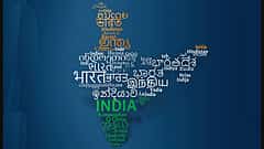 ಭಾಷಾ ಬಿಕ್ಕಟ್ಟಿನ ವಾಗ್ವಾದಗಳ ನಡುವೆ ಬೇರುಗಳನ್ನು ತಡಕುತ್ತ… (ತೆರೆದ ಕಿಟಕಿ)