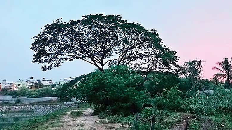 ಬೆಂಗಳೂರು ಮೆಟ್ರೋ ಹಂತ-3: ಸುಂಕದಕಟ್ಟೆಯಲ್ಲಿ ಡಿಪೋ ನಿರ್ಮಾಣಕ್ಕೆ ಕಾನೂನು ತೊಡಕು; ಹೈಕೋರ್ಟ್ ನಲ್ಲಿ ಜಮೀನು ವಿವಾದ!