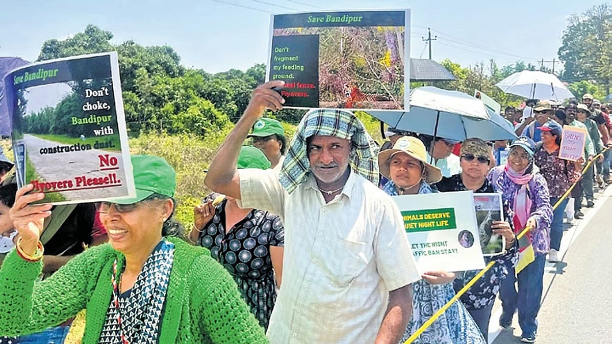 ಬಂಡೀಪುರ ಅಭಯಾರಣ್ಯದಲ್ಲಿ ರಾತ್ರಿ ಪ್ರಯಾಣ ನಿಷೇಧ ಹಿಂತೆಗೆತದ ವಿರುದ್ಧ ಗ್ರೀನ್ಸ್ ರ‍್ಯಾಲಿ: ಅಂತಹ ಪ್ರಸ್ತಾಪವಿಲ್ಲ ಎಂದ ಶಾಸಕ ಗಣೇಶ್ ಪ್ರಸಾದ್