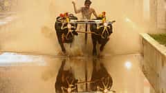 ದಸರಾ ಕ್ರೀಡಾಕೂಟದಲ್ಲಿ ಕಂಬಳ ಸೇರ್ಪಡೆ: ರಾಜ್ಯ ಸರ್ಕಾರ ಘೋಷಣೆ