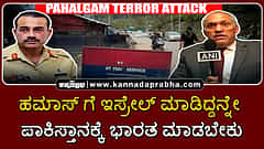 Watch | 'ಹಮಾಸ್ ಗೆ ಇಸ್ರೇಲ್ ಮಾಡಿದ್ದನ್ನೇ ಪಾಕಿಸ್ತಾನಕ್ಕೆ ಭಾರತ ಮಾಡಬೇಕು'