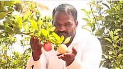 40 ಡಿಗ್ರಿ ಬಿಸಿಲಿನಲ್ಲೂ ಸೇಬು ಬೆಳೆದು ಬಾಗಲಕೋಟೆ ರೈತ ಸಾಧನೆ: ಮನ್ ಕಿ ಬಾತ್ ನಲ್ಲಿ ಪ್ರಧಾನಿ ಮೋದಿ ಪ್ರಶಂಸೆ