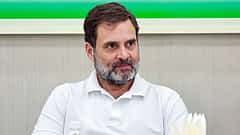 ಜಾತಿ ಗಣತಿ: ರಾಜಕೀಯ ಲಾಭ ಪಡೆಯಲು ಬಿಜೆಪಿ, ಕಾಂಗ್ರೆಸ್ ನಡುವೆ ಸಮರ; ರಾಹುಲ್ ಗೆ ನೀಡಿದ ಸೂಚನೆ ಏನು?