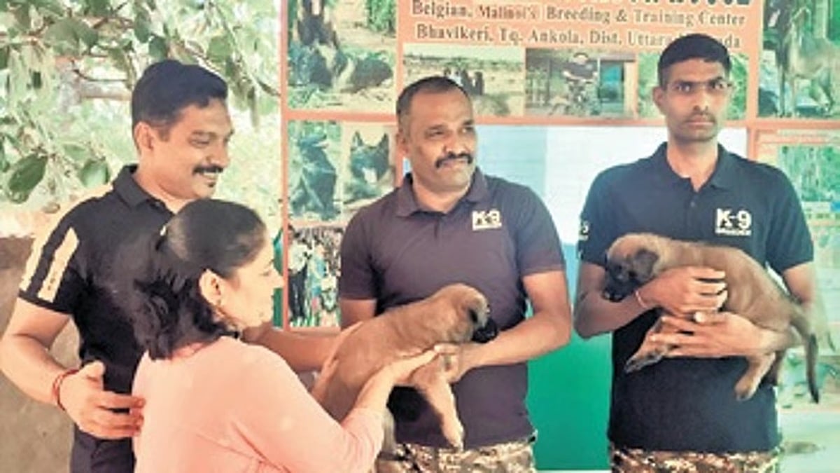 ಅಂಕೋಲಾದ ಎರಡು 'Belgian Malinois' ಶ್ವಾನಗಳು ಬೆಂಗಳೂರು CRPF ಶಿಬಿರಕ್ಕೆ ಸೇರ್ಪಡೆ!