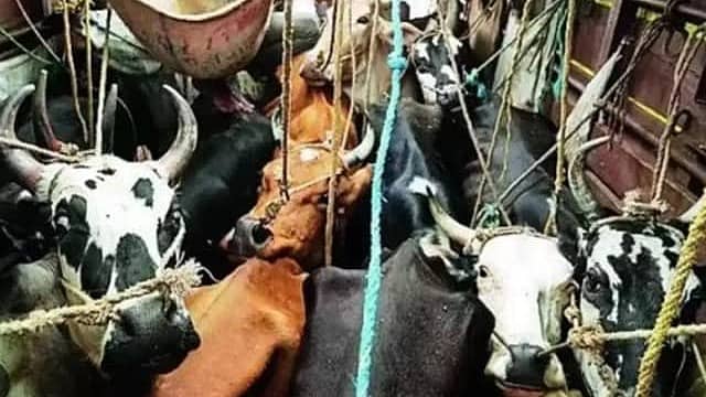 Uttar Pradesh: ಹೆಡ್ ಕಾನ್ಸ್ಟೆಬಲ್ ಕೊಂದ ಗೋ ಕಳ್ಳ ಸಾಗಣೆದಾರರು; ಎನ್ ಕೌಂಟರ್ ನಲ್ಲಿ ಓರ್ವ ಸಾವು, ಇಬ್ಬರ ಬಂಧನ