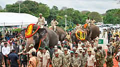ರಾಜ್ಯದ 4 ಕುಮ್ಕಿ ಆನೆಗಳನ್ನು ಆಂಧ್ರಪ್ರದೇಶಕ್ಕೆ ಹಸ್ತಾಂತರಿಸಿದ ಸಿಎಂ ಸಿದ್ದರಾಮಯ್ಯ