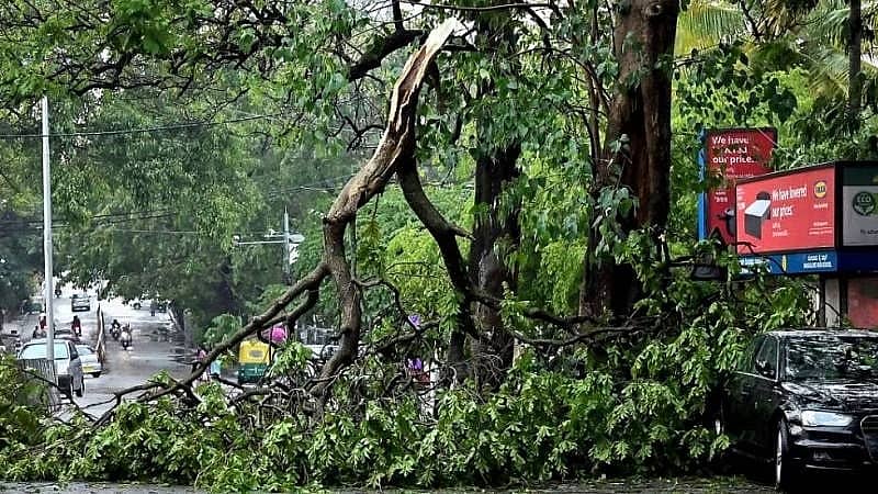 ಬೆಂಗಳೂರು: ಮರದ ಕೊಂಬೆ ಬಿದ್ದು ಎಲೆಕ್ಟ್ರಿಷಿಯನ್ ಸಾವು, ಮತ್ತೋರ್ವನಿಗೆ ಗಾಯ