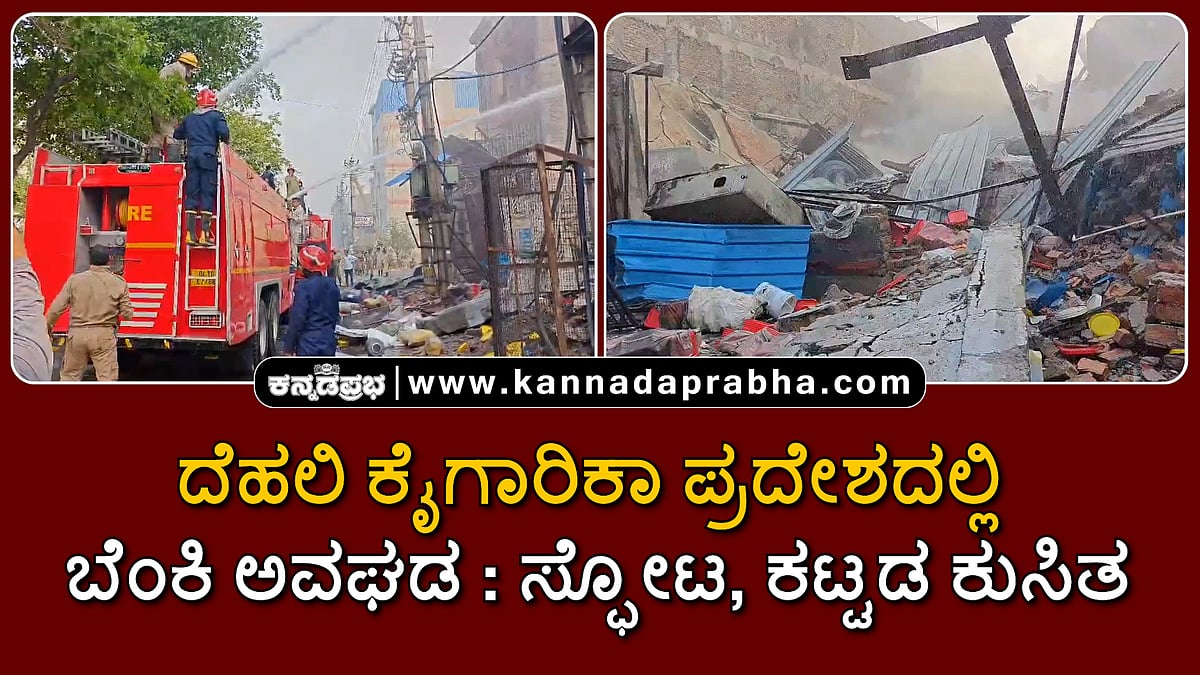Watch | ದೆಹಲಿ ಕೈಗಾರಿಕಾ ಪ್ರದೇಶದಲ್ಲಿ ಬೆಂಕಿ ಅವಘಡ: ಸ್ಫೋಟ, ಕಟ್ಟಡ ಕುಸಿತ